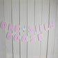 One Silly Goose Banner