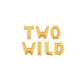 Two Wild Balloon - glitterpaperscissors